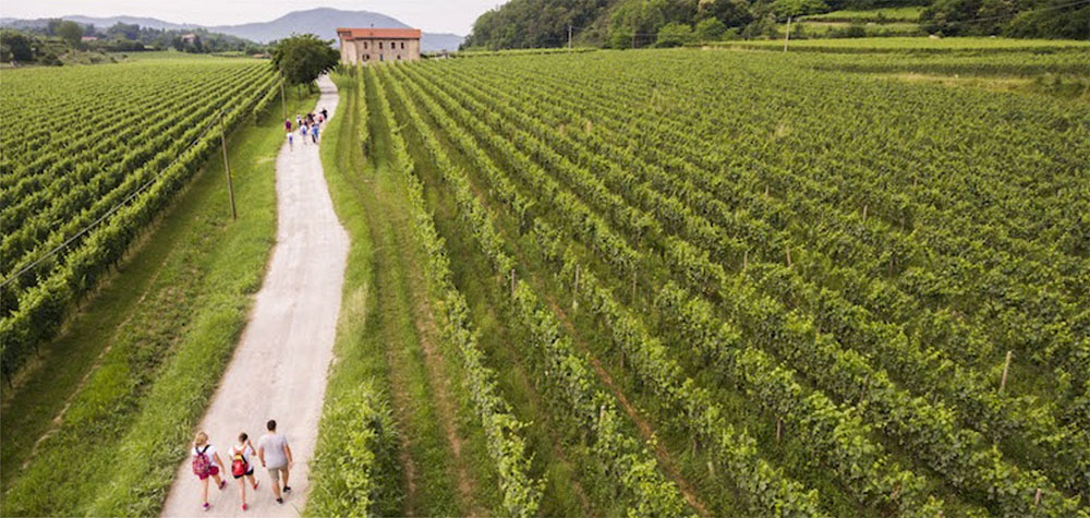 B&B Camignone Franciacorta, Passirano, Italia. La strada del Franciacorta